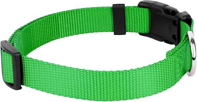 Country Brook Petz - Everyday Nylon Dog Collar and Leash - 10+ Cool Colors (1 Inch, Large, Hot Lime Green)