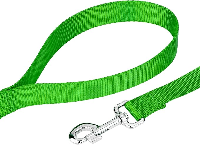 Country Brook Petz - Everyday Nylon Dog Collar and Leash - 10+ Cool Colors (3/8 Inch, 3XS, Hot Lime Green)