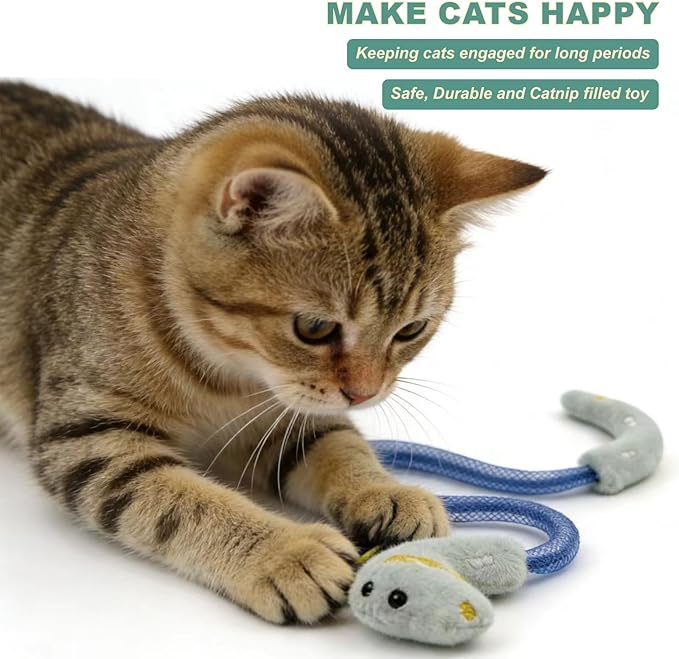 Interactive Cat Toys Set, Silvervine Chew Sticks and Catnip Spring Ropes, Indoor Cat Toys for Exercise and Dental Care, for All Cat Breeds (5 Pack)
