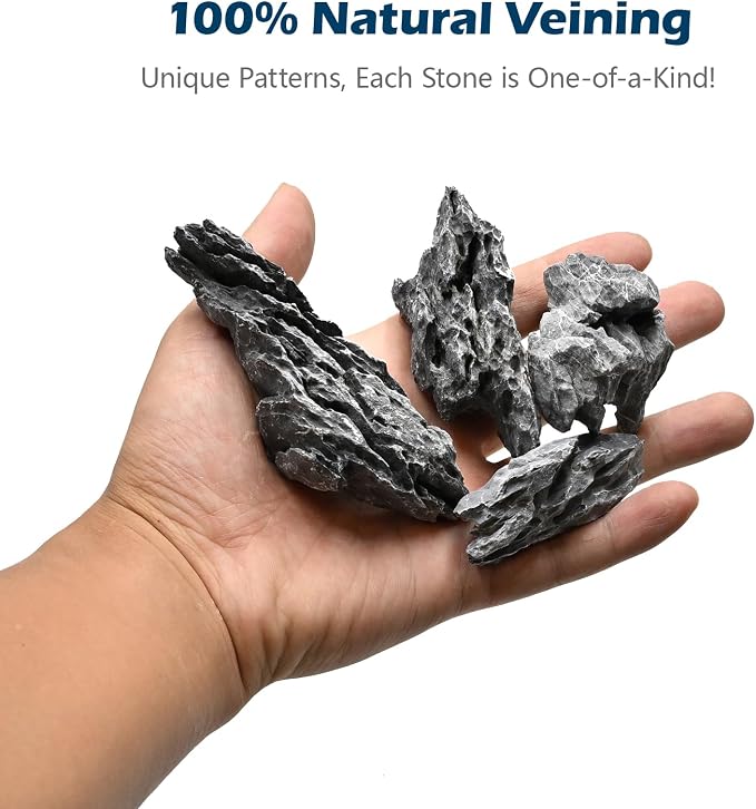 Natural Rocks Seiryu Stone 1-2.5 Inches Decorative Stones for Fairy Gardens,Miniature Landscaping,Bonsai,DIY Crafts, Aquariums & Reptile Terrariums-1lb