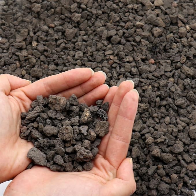 Black Lava Horticultural Lava Rocks for Plants, 1/5 Inch, 10 lbs