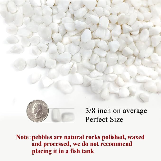 FANTIAN 2 Pounds White Pebbles for Indoor Plants, 3/8 Inch Polished White Rocks, Decorative River Rocks for Potted Plants Vase Cactus Bird Bath and Outdoor Garden Landscaping