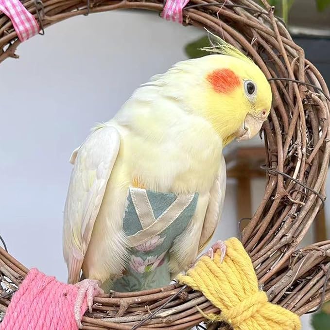 Bird Flight Suits Diapers, Parrot Flight Suits Diapers for Quaker Parakeets Cockatiels Conures Macaw African Grey, Bird Diaper, Parrot Clothes (Grey B,Macaw)