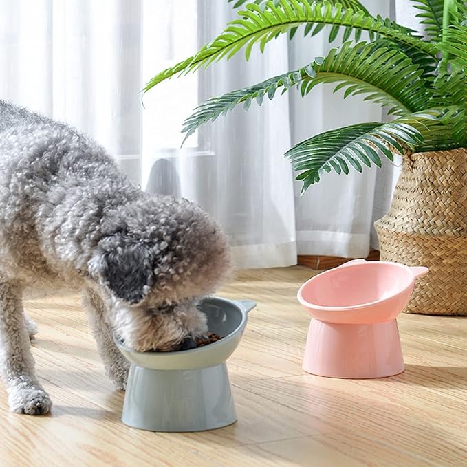 Tilted Elevated Cat Food Bowl - Cats Bowls Whisker Friendly Anti Vomiting Slanted Feeding Bowls Cute Shallow(Tall Cat Bowl-Pink)