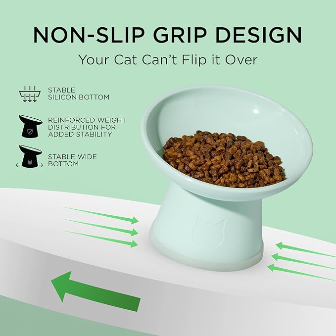Necoichi 2pcs Tilted Elevated Cat Food Bowls BPA-Free Plastic 15° Tilted Raised Cat Bowl for Whisker & Neck Fatigue, Dishwasher Safe Non-Slip & Anti-Vomiting Ergonomic Design (Smoky Mint)