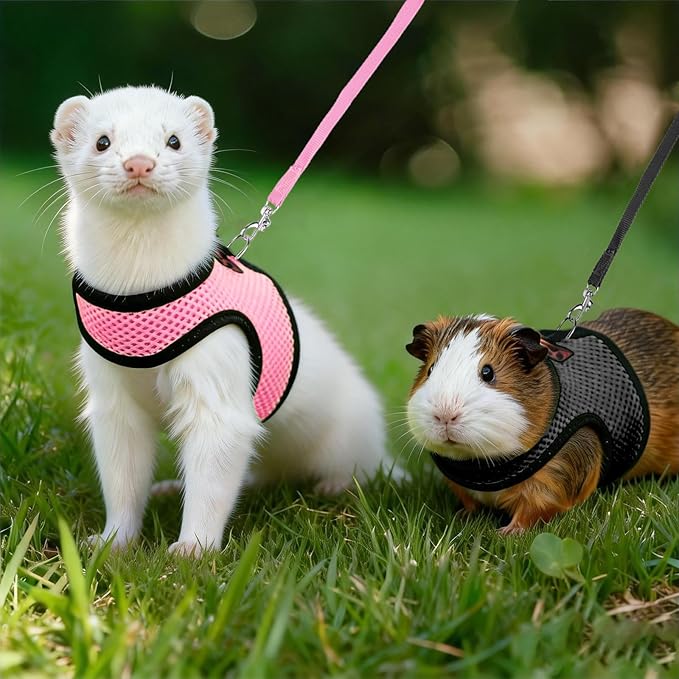 Rypet Small Animal Harness and Leash - Soft Mesh Pet Harness with Safe Bell, No Pull Comfort Padded Vest for Small Pet Black + Pink S