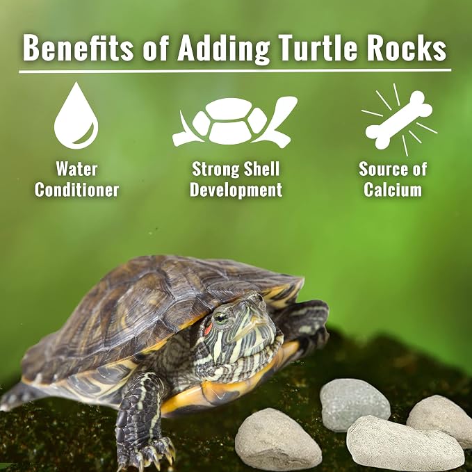 JOR Calcium Rocks for Turtles, Ideal for Shrimps, Crayfish, Hermit Crabs, and Snails, Water Conditioner for 14-Gallon Tank, Aquarium Décor, Approximately 0.5", 3-6 Pieces, 2 oz.