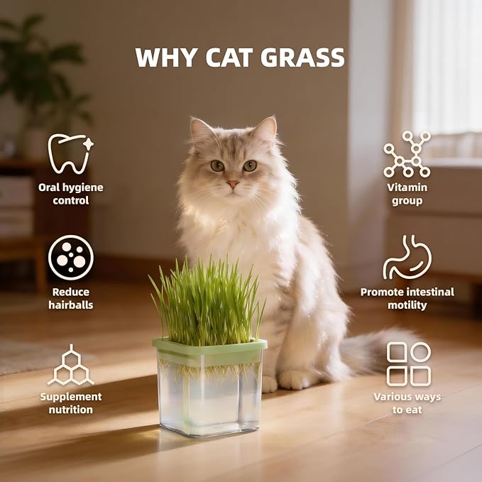 Hydroponic Cat Grass Kit with 5 Pack Non GMO Seeds & Scissors - Cat Grass for Indoor Cats, Helps Cat with Hairballs & Digestion, Easy 3-Step Setup,Gifts for Cat Lovers (Food-Safe PP&AS, 7-Day Growth)