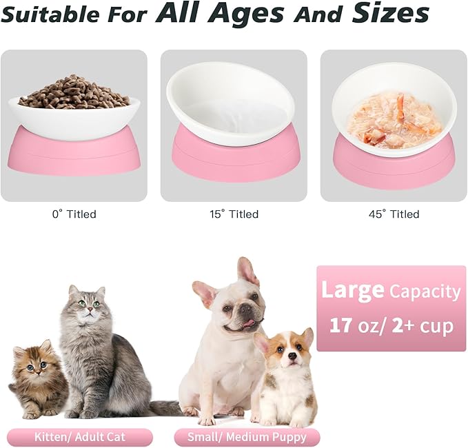 Elevated Cat Bowl, Adjustable Raised Slanted Food Bowl for Cats and Small Dogs, Wide Shallow PP Dish with TPR Non Slip Base, Whisker Friendly, 17 oz