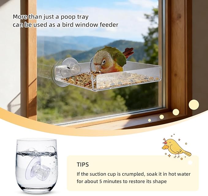 2-in-1 Bird Perch with Removable Tray | Suction Cup Bird Perch with Locking Guard & Feeder Tray | for Small and Medium Birds Like Parakeets, Cockatiels, Lovebirds, Conures(Clear,Medium)