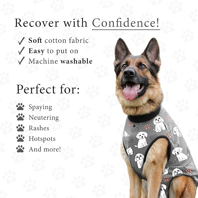 BellyGuard Dog Surgery Recovery Suit, Dog Onesie for Post-Op Care, Recovery Apparel for Female and Male, Surgical Body Cover for Canine Healing Support