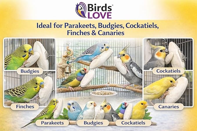 Birds LOVE 5.5-6″ Cuttlebone for Birds – 100% Natural Sun-Dried Calcium & Beak Conditioning Supplement for Parakeets, Budgies, Cockatiels, Finches & Canaries – 12 Pack with Holder – Made in Vietnam