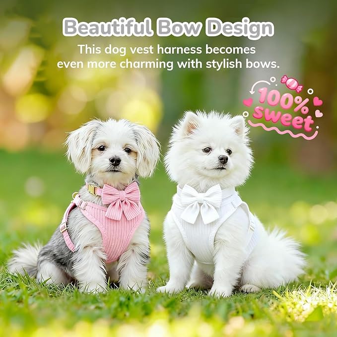 Small Dog Collar Harness and Leash Set with Bowtie, Adjustable Dog Harness Collar and Leash Set with Secure Metal Buckle, Breathable Cotton Adjustable Pet Puppy Harness, Easy Walk Harness, S(14–18.9")
