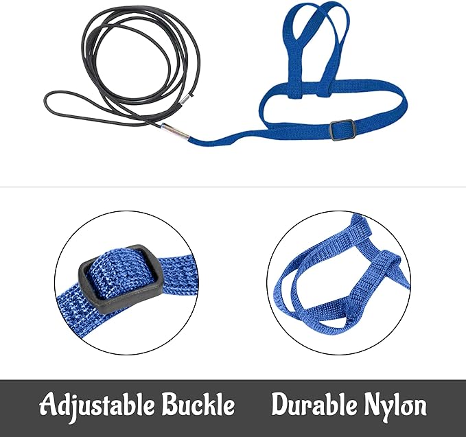 2 pcs Pet Parrot Bird Harness and Leash, Adjustable Training Design Anti-Bite, Outdoor Flying Training Rope Kit for Bird Parrots Fits Birds Chest Between46-76cm /18.11-29.92inch - XL (Blue)
