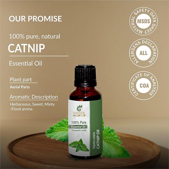 Catnip Oil (Nepeta Cataria) Essential Oil 100% Pure Natural Undiluted Uncut Therapeutic Grade Oil 33.81 Fl.OZ
