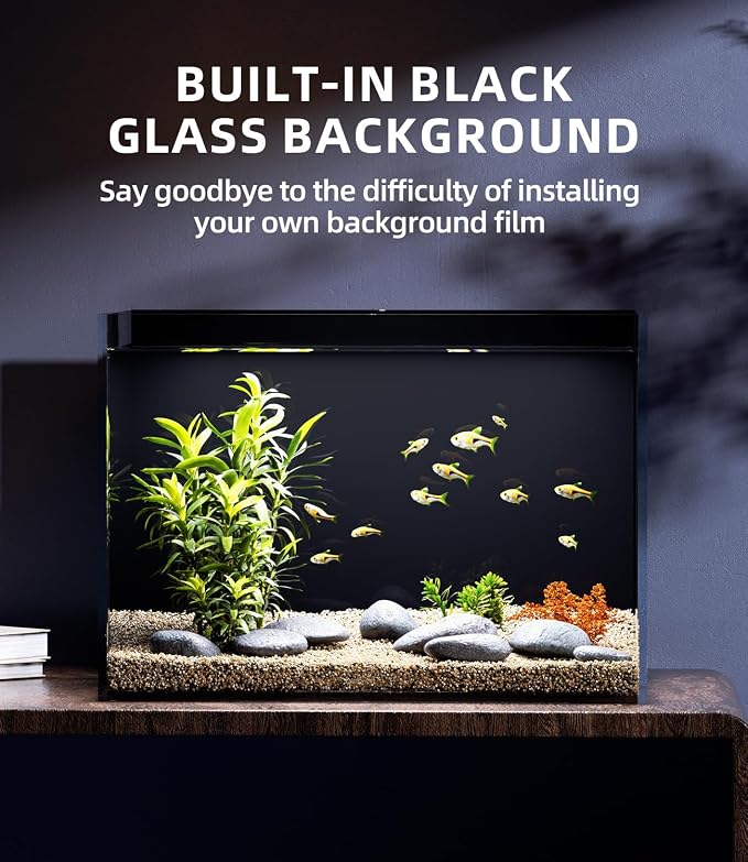 5 Gallon Glass Fish Tank Rimless with Black Background Rectangular Tank | Ultra Clear Low-iron Glass, 5 mm Thick, 92% Light Transmission, for Betta Shrimp Guppy Snail, Included Leveling Mat