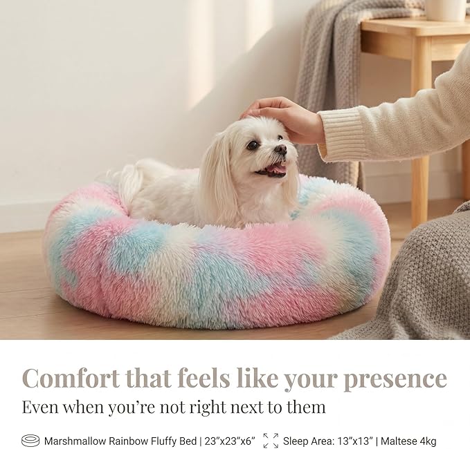 Calming Donut Dogs Beds for Small Dogs Washable,23inch Plush Round Pet Bed for Cozy Sleep,Fluffy Faux Fur Large Cat Bed,Fits up to 25 lbs Pets,Multi Colored