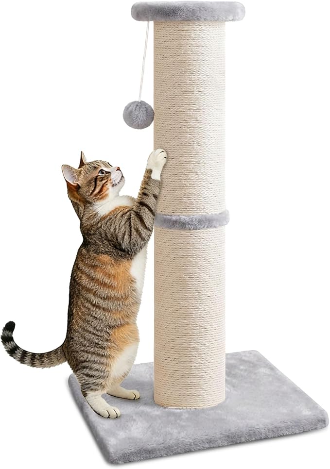 PAWSCRAT Cat Scratching Post 32" Tall, Large Diameter Natural Sisal Cat Scratch Post with Dangling Ball for Indoor Cats, Scratch-Resistant Durable and Protect Your Furniture, LightGrey