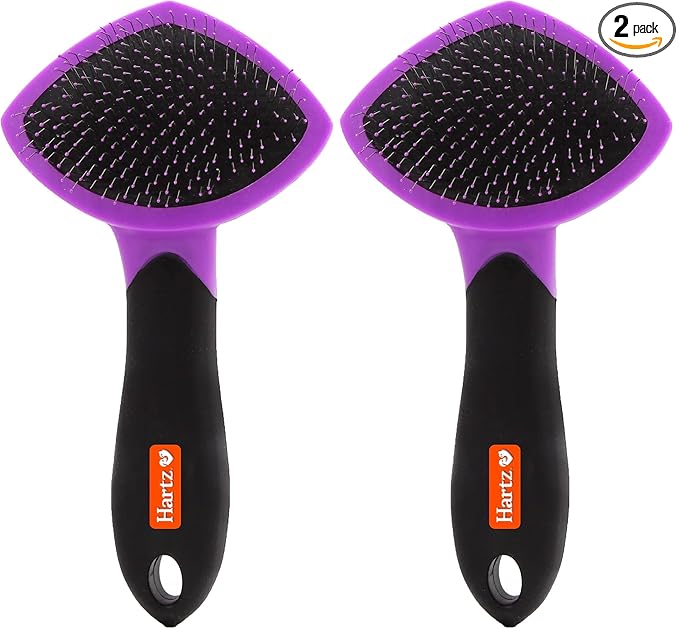 Hartz Groomer's Best Small Slicker Brush for Cats and Small Dogs, Black/Violet, 1 Count (Pack of 2)