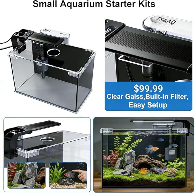 FS&AQ 5 Gallon Betta Fish Tank with Filter Light and Lid Small Aquarium Starter Kit Perfect for Desktops Offices or Beginners