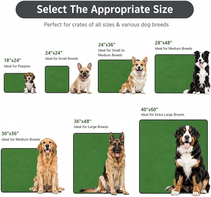 1 Pack Washable Pee Pads for Dogs 72"x72", Reusable Training Puppypads Absorbency Non-Slip & Leak-Proof for Pet Whelping Box Playpen Crate Sofa Bed Floors (Green)