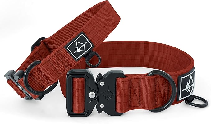 Made to ROAM Premium Dog Collar - Adjustable Heavy Duty Nylon Collar with Quick-Release Metal Buckle (Texas Flair, Classic Size 3)