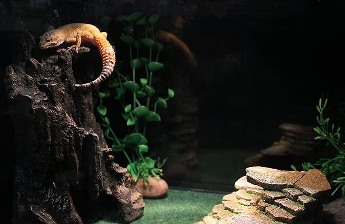 Penn-Plax Reptology Shale Step Ledge Cave Hideout - Aquarium & Terrarium Decoration - for Fish, Reptiles, Amphibians, and Small Animals - Large 2 (REP189)