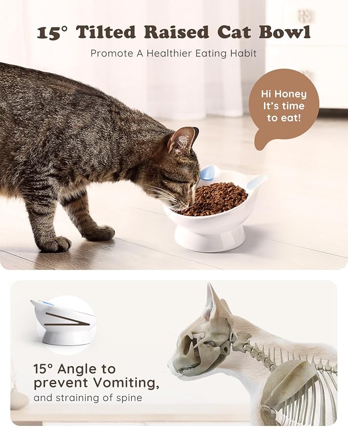 2Pcs Raised Cat Food Bowl Ceramic 15 Tilted Bowls Protect Cat's Spine, Anti Vomiting Backflow Prevention, Adult Cats, Kitten, Small Dogs, Pink&Blue