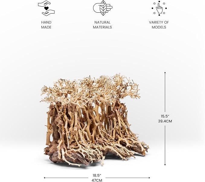 Ultum Nature Systems Bonsai - Handcrafted Hardscape Driftwood for Aquarium, Terrarium, Vivarium, Natural Aquascape Hardscape Decorations, Aquascaping Hardscape for Live Aquatic Plants - 005, Small