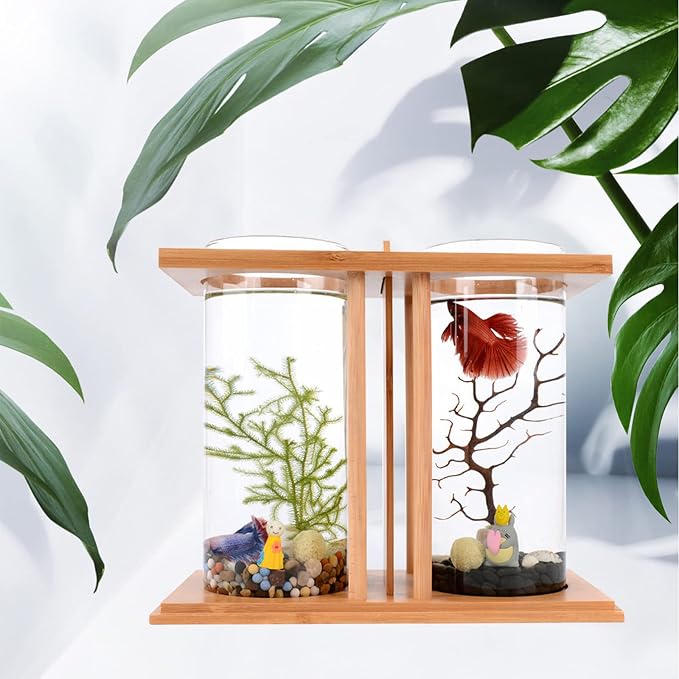 Desktop Mini Fish Tank, Dual Cylinder Glass Aquarium with LED Light, Bamboo Frame 360° View, Small Betta Goldfish Tank for Home Office Desk, 3.35 inch Diameter