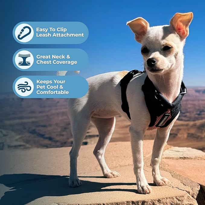 Voyager Step-in Pet Harness - All Weather Mesh, Adjustable Step in Harness for Cats and Dogs by Best Pet Supplies - Pink/Black Trim, S