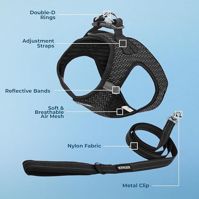 Best Pet Supplies Voyager Step-in Air All Weather Mesh Harness and Reflective Dog 5ft Leash Combo with Neoprene Handle, for Small, Medium and Large Breed Puppies - Set (Gray 2-Tone), Small