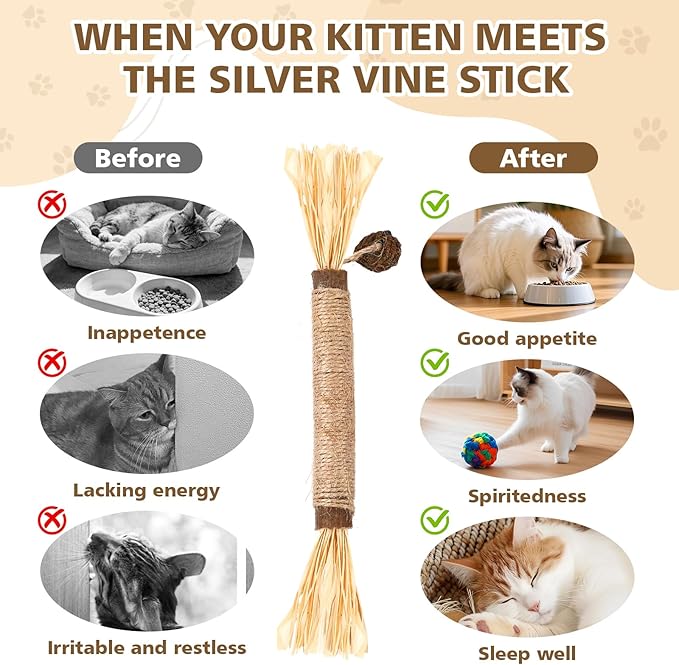 TEAWOO 3 Pcs Natural Silvervine Sticks Cat Toys, Catnip & Matatabi Blend Dental Chew Toys, Teeth Cleaning Kitty Toys for Indoor Cats & Kittens, Edible Chew Sticks for Aggressive Chewers