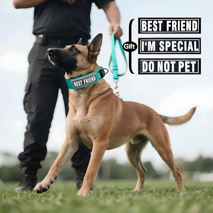 AirTag Dog Collar, 2" Wide Tactical Military Dog Collar with AirTag Holder & 3 Pet Patches, Soft Padded Reflective Waterproof Nylon Collar with Metal Buckle for Medium Dogs (Teal, M)
