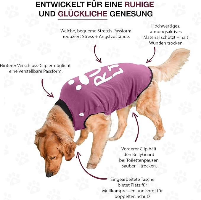 BellyGuard Dog Surgery Recovery Suit, Dog Onesie for Post-Op Care, Recovery Apparel for Female and Male, Surgical Body Cover for Canine Healing Support