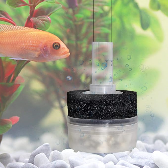 4 Pcs Small Sponge Filters for Aquarium, Up to 5 Gallon | Air-Driven Mechanical Filter, Fish Tank Accessory for Shrimp/Betta/Goldfish