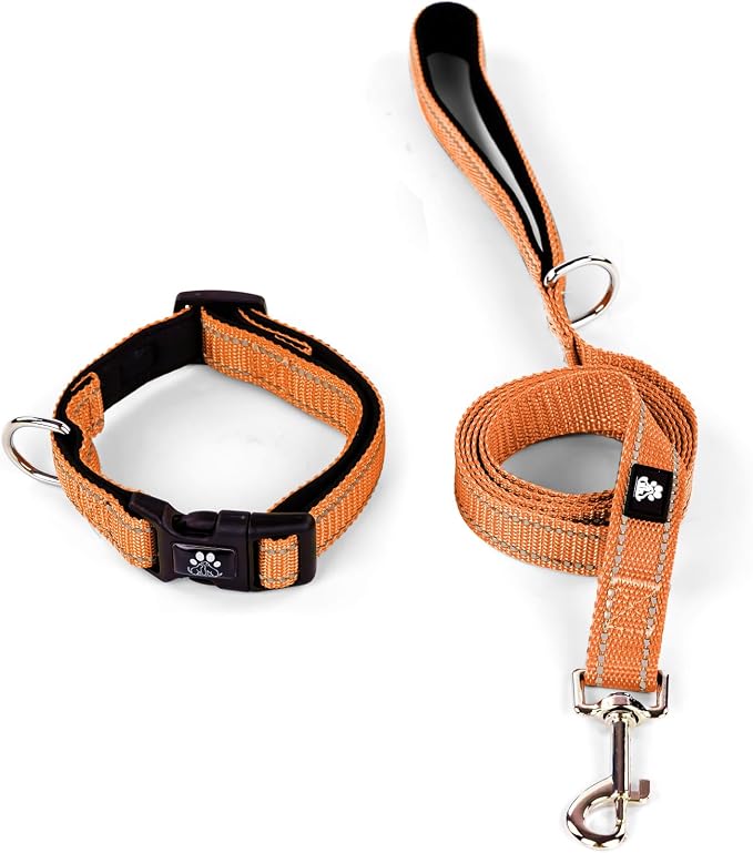 IVY&LANE Reflective Dog Collar and Leash Set,Adjustable Neoprene Padded Dog Collars for Puppy, Breathable Nylon Pet Collar for Small Medium Large Dogs(Small,Orange)