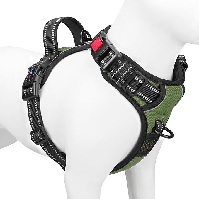 PHOEPET No Pull Dog Harness with Handle Front & Back Clip, Easy on Lockable Snap Buckle at Neck, Adjustable Reflective Vest with Handle for Small Medium Large Dogs (L, Misty Green)