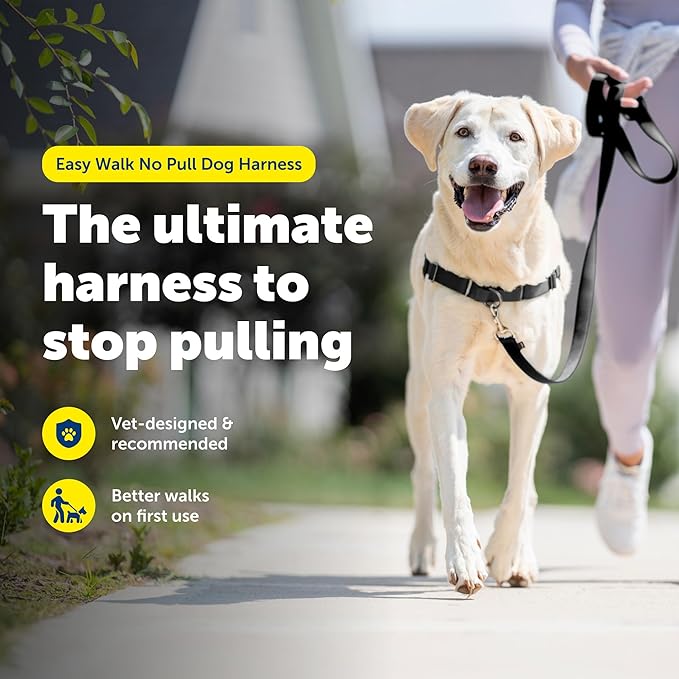 PetSafe Easy Walk No-Pull Dog Harness - The Ultimate Harness to Help Stop Pulling - Take Control & Teach Better Leash Manners - Helps Prevent Pets Pulling on Walks - Large, Black