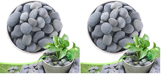 2.4LB River Rocks,Mexican Beach Pebbles for Plants,Potting,Garden Landscape Stone Paving Stone Grey 1Inch - 2Inch (Pack of 2)