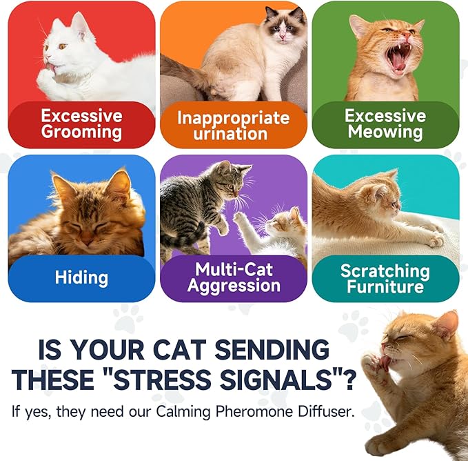 Anti Cat Pee Diffuser Calm Calming Cat Pheromone Pet Diffuser Plug In Spray Relaxer For Cats Anxiety Feromonas Calming Pheromones Relaxing Stress Diffuser Calmer With 4 Refill Peeing Cat Diffusers