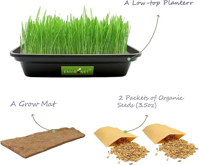 Hydroponic Cat Grass for Indoor Cats | Organic Cat Grass Seeds Mix with Black Low-Top Planter | Pet Safe and Non-GMO | Natural Indoor Grass for Cats' Digestion Health