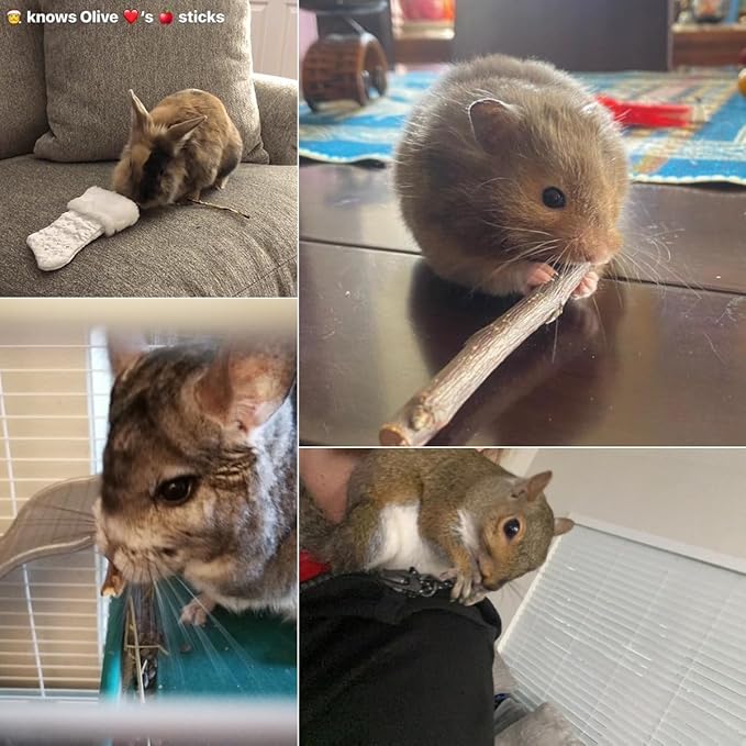 500g Apple Sticks Chew Toys for Small Pets, Perfect for Rabbits Guinea Pigs Hamsters Chinchillas Gerbils and Squirrels, Great for Teeth Grinding and Snacks