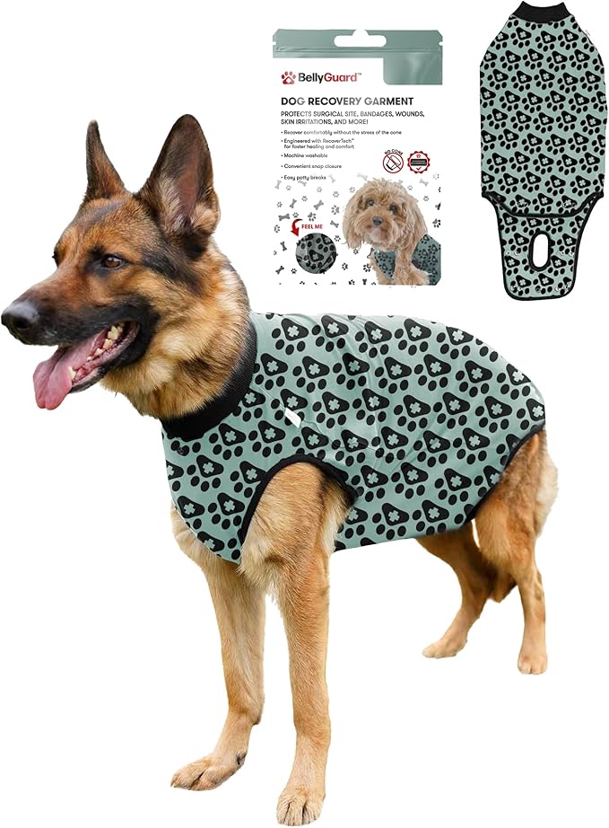 BellyGuard Dog Surgery Recovery Suit, Dog Onesie for Post-Op Care, Recovery Apparel for Female and Male, Surgical Body Cover for Canine Healing Support