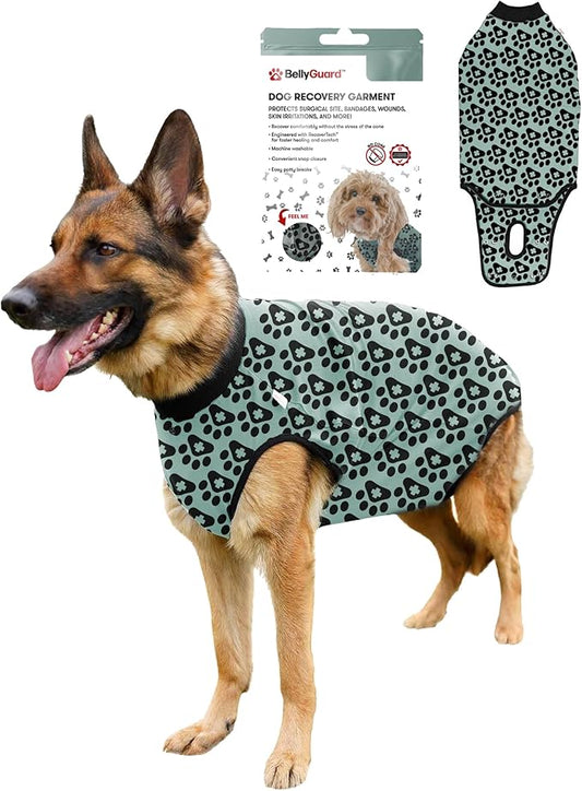BellyGuard Dog Surgery Recovery Suit, Dog Onesie for Post-Op Care, Recovery Apparel for Female and Male, Surgical Body Cover for Canine Healing Support