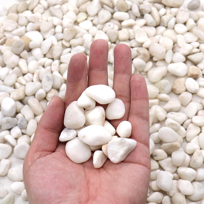 White Polished Rocks for Plants, Decorative Pebbles, 0.5-1 Inch, 18 lb