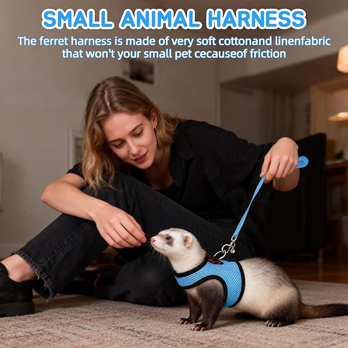 Rypet Small Animal Harness and Leash - Soft Mesh Pet Harness with Safe Bell, No Pull Comfort Padded Vest for Small Pet Black + Blue S