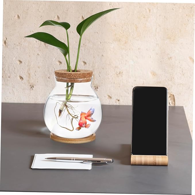 Glass Hydroponic Plant Vase with Cork Lid and Bamboo Base Small Clear Fish Bowl Desktop Terrarium Kit for Water Plants Lucky Bamboo Betta Fish Starter Pot for Home Office Decor 5x5.5 Inch