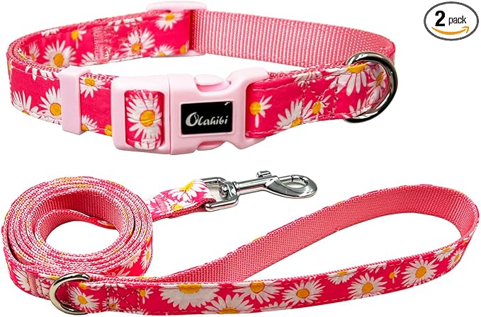 Dog Collar Leash Set, Floral Pattern, Nylon Webbing Plus Cotton Ribbon, 5ft Matching Leash, for Medium Dogs.(M, Pink Daisy)