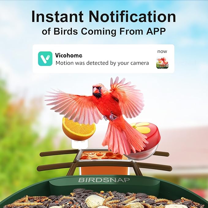 birdsnap® PAV-Bird Feeder with Camera,2K HD with 64GB Card, AI Identify Smart Bird House Cam Solar Panel,Live Stream,Motion Detection,Auto Record Video for Backyard Outdoors,Ideal Gift for Bird Lover